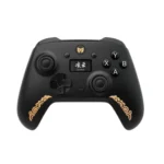 Bigbigwon Aether C6 Gaming Controller