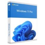 Microsoft Windows 11 Pro
