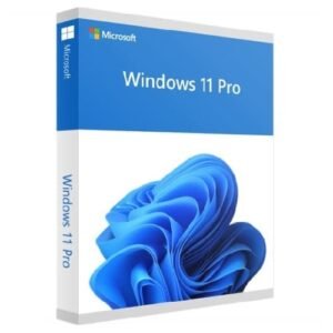 Microsoft Windows 11 Pro