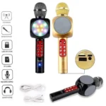 WS-1816 Karaoke Microphone