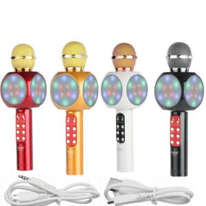 WS-1816 Karaoke Microphone